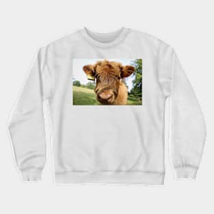 Baby Cow Crewneck Sweatshirt